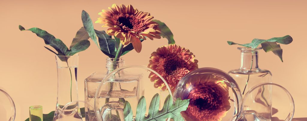 Antioxidants Cosmetic Fragrances