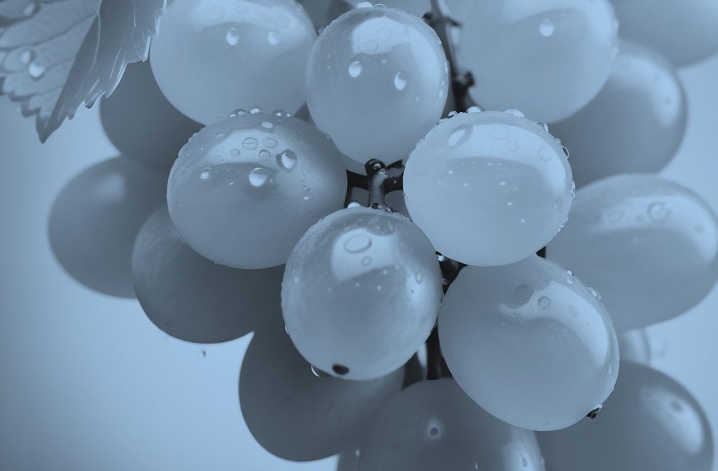 nutrabiol-grapeseed